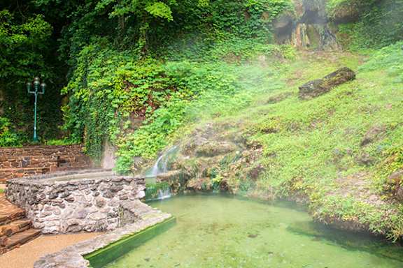 A small waterfall in a lush green forest.
