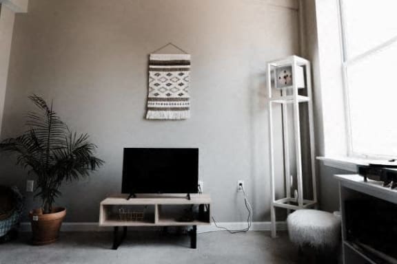 a living room with a television and a plant
