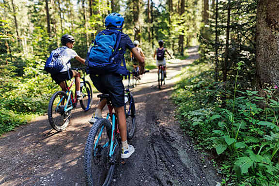 A group of people riding bikes on a forest trail.