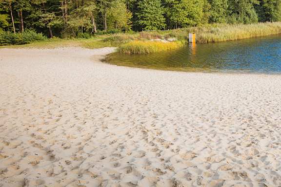 A sandy beach with a body of water and trees in the background.