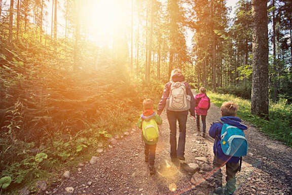 A family of four is walking on a forest path during sunset.
