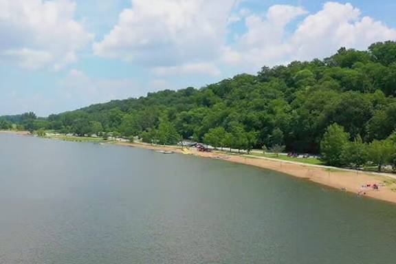 A beach with people on it and trees in the background.