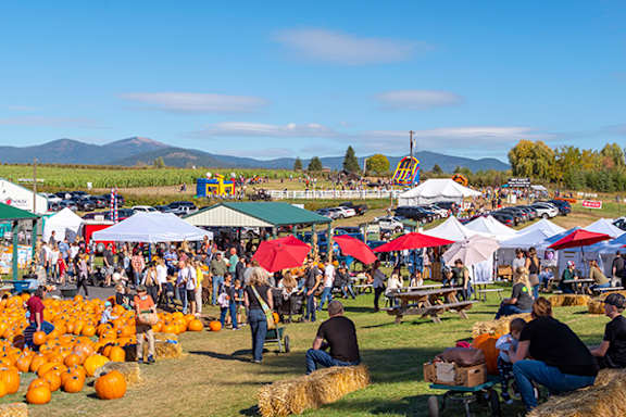 A large crowd of people are gathered at an outdoor event with hay bales, pumpkins, and tents.