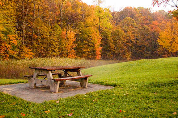 A picnic table sits in the middle of a grassy area with trees in the background.