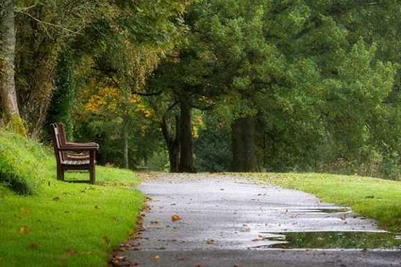 A bench sits on the side of a wet path in a park.