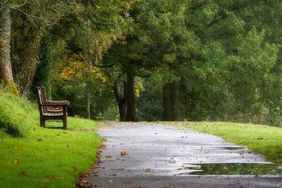 A bench sits on the side of a wet path in a park.