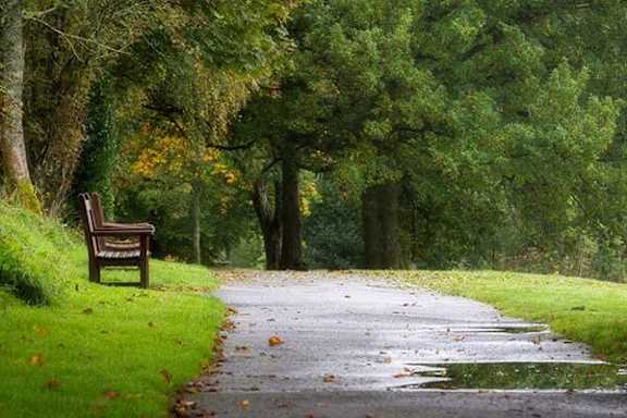 A bench sits on the side of a wet path in a park.