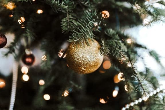 a close up of a christmas tree with gold decorations
