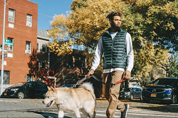 A man walking a dog on a leash in a city street.