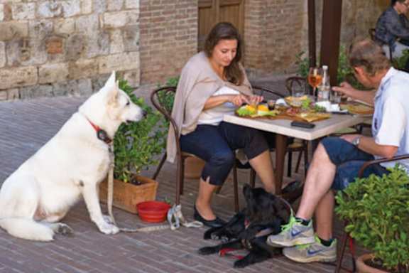 A woman is sitting at a table with two dogs, one of which is white and the other black.