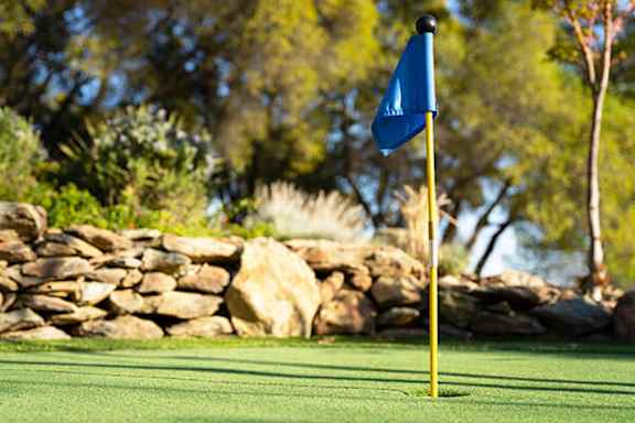 A blue flag on a yellow pole on a green field.