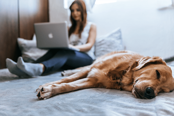 a woman sitting on a bed with a dog using a laptop