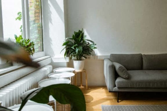 a living room with a couch and tables and plants