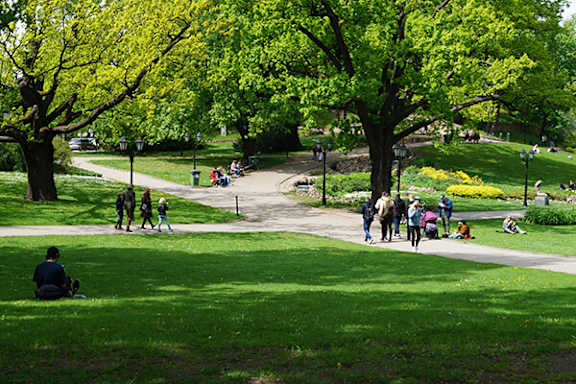A family is walking through a park with green trees.
