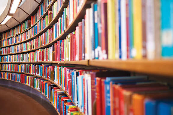 A row of books on a shelf.