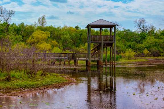 A wooden gazebo stands in the middle of a pond.