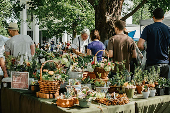 A group of people are shopping for plants at an outdoor market.