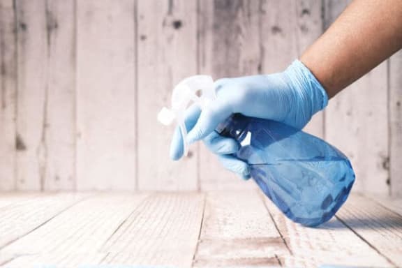 a person wearing blue gloves holding a spray bottle