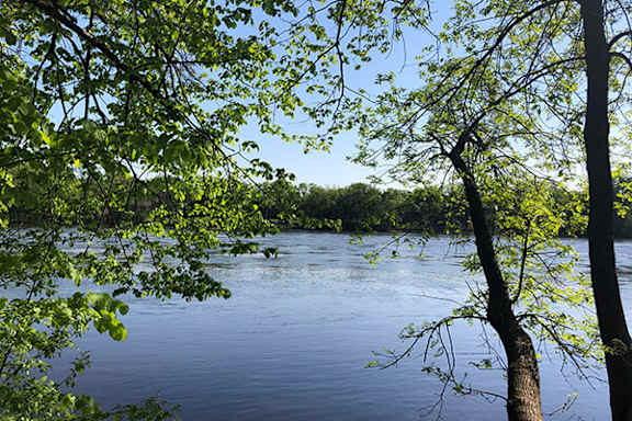 A serene lake surrounded by lush green trees.