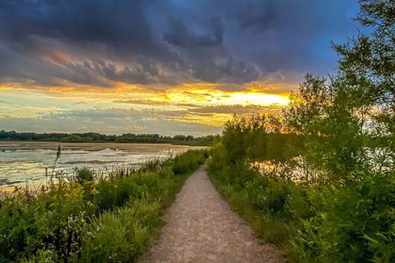 A pathway leading to a body of water with a sunset in the background.