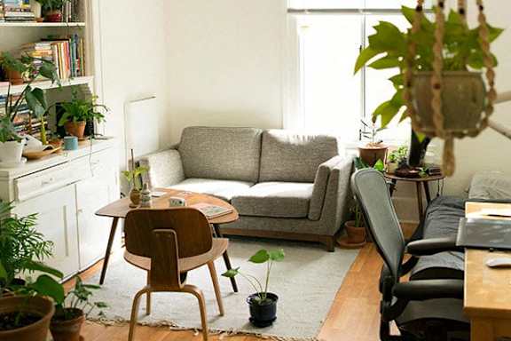 a living room with a couch and a chair and plants
