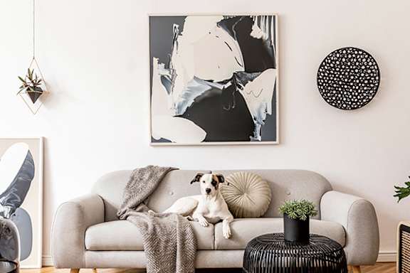 A dog sits on a couch with a blanket and a plant on a table.