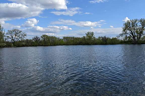 A body of water surrounded by trees under a blue sky with clouds.