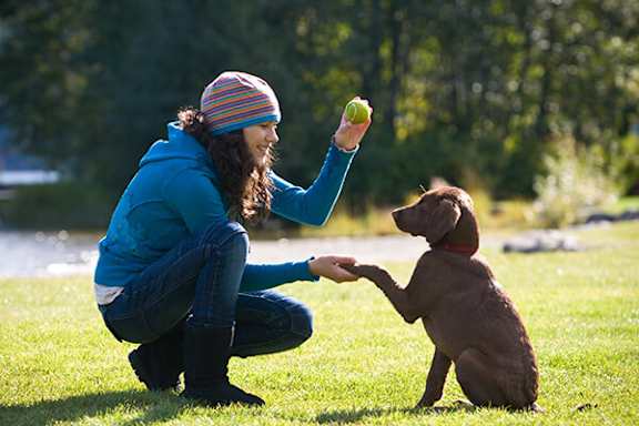 A woman in a blue jacket and striped hat is playing with a brown dog in a grassy field.