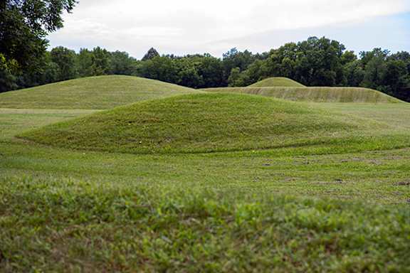 A grassy field with a hill in the background.