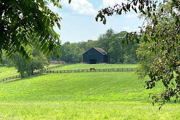 A barn sits in a field with a fence and trees in the background.