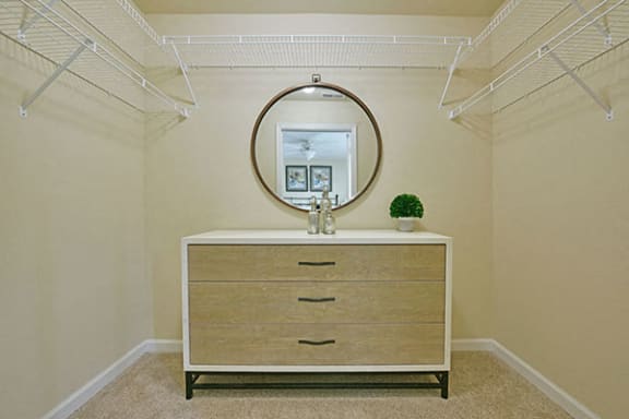 Large Walk-In Closets with Wardrobe Organizers at Badger Canyon Apartments, in Kennewick