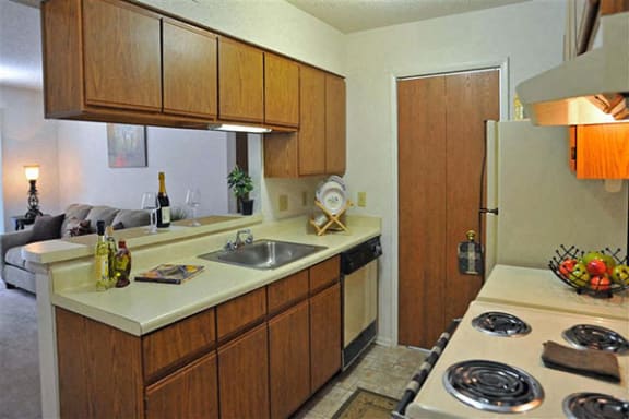 Well Equipped Kitchen with Dishwasher at Brook Pines Apartments in Columbia, SC