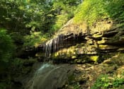 Thumbnail 8 of 17 - Hiking in Vandalia.