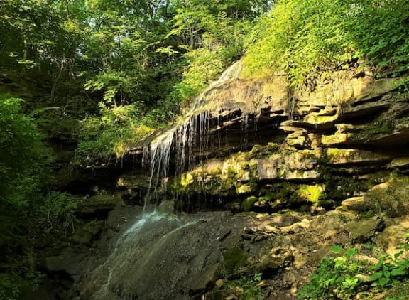 Hiking in Vandalia.