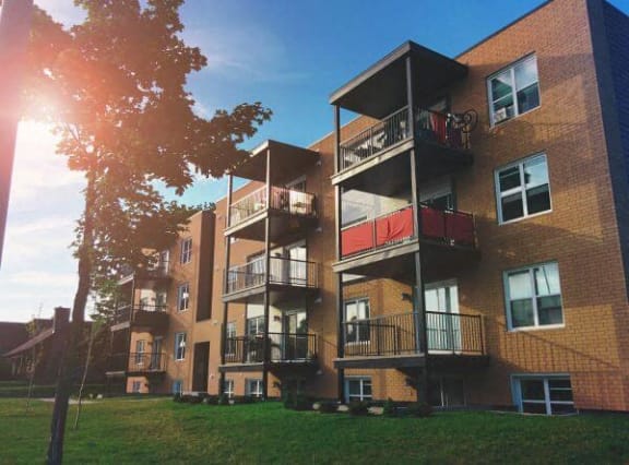 a brick apartment building with a tree in the grass