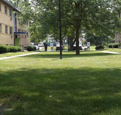 A grassy area with a tree and a street lamp in the middle of it.