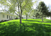 Thumbnail 13 of 14 - Louise Garden Common Yard