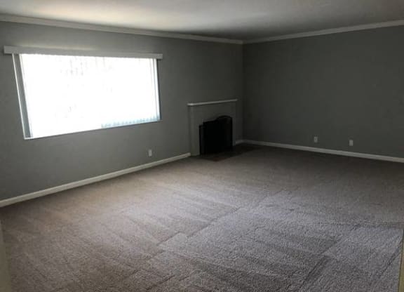 A room with a carpeted floor and a window.