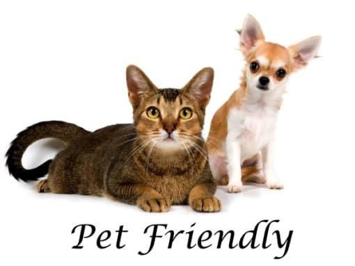 Pet Friendly, image shows cat and dog