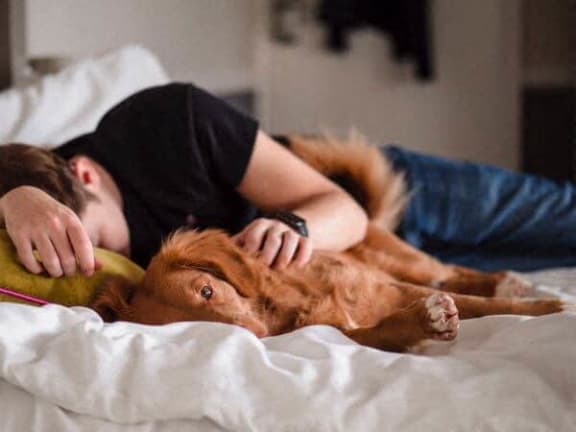 a man is laying on a bed with a dog