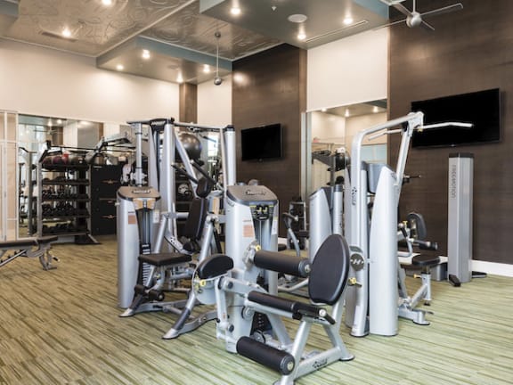 Strength training equipment in modern fitness center