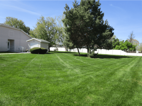 Louise Garden North Yard