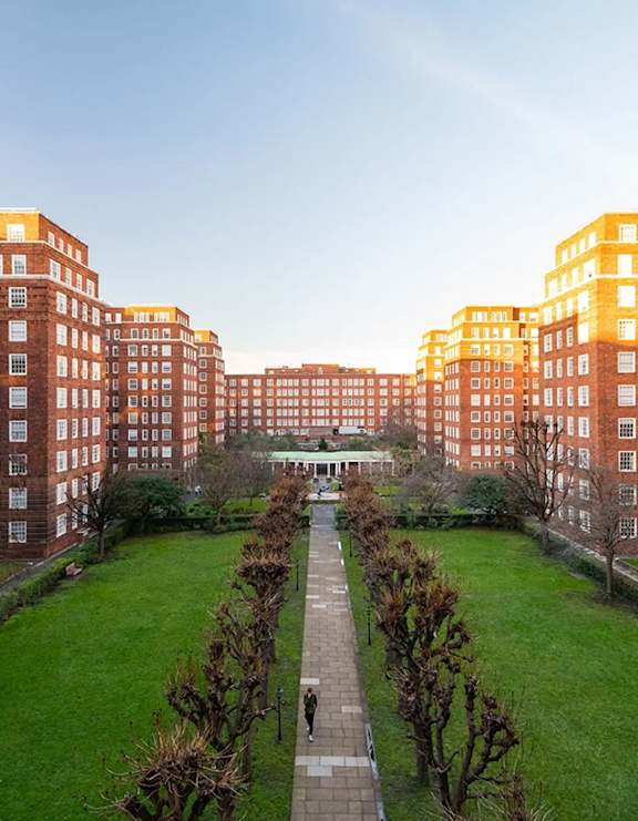 A person walks down a path between two rows of trees in a courtyard.