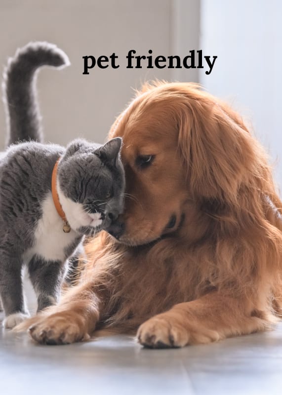 A cat and a dog are interacting with each other. at The Dawson Cartersville in Cartersville, GA 30191