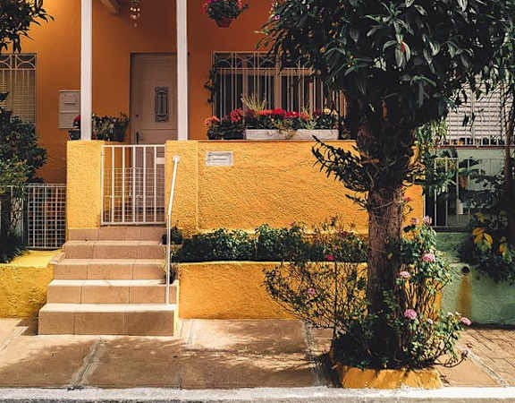 a yellow house with a tree in front of it