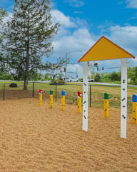 a playground with yellow and blue poles and a yellow roof