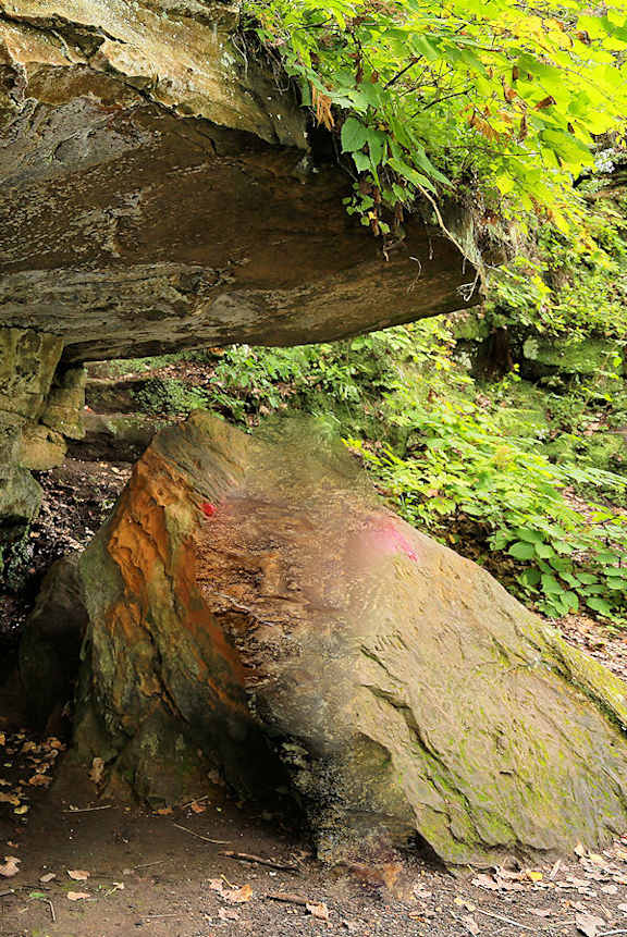 A large rock with moss growing on it.