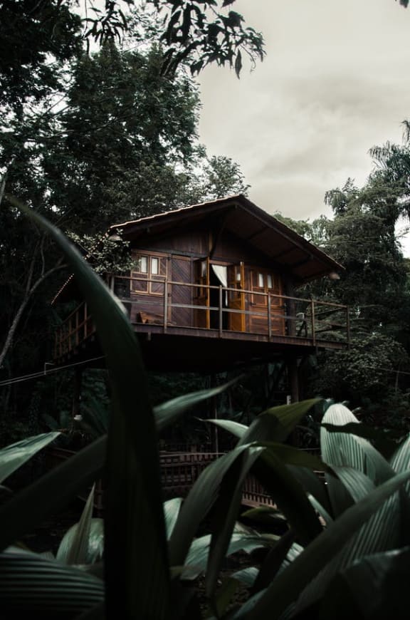 a house in the middle of a forest
