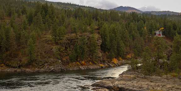 A river flows through a forest with a small building in the distance.
