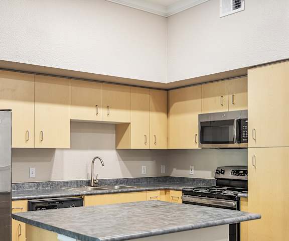 a kitchen with an island and stainless steel appliances at Artisan Apartments & Shops, Texas